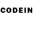Псилоцибиновые грибы GOLDEN TEACHER Q11. 5:46