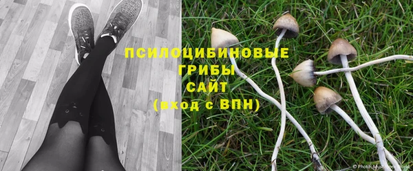 экстази Алзамай