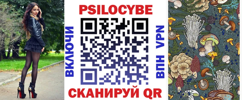 Псилоцибиновые грибы Psilocybe Нижнеудинск